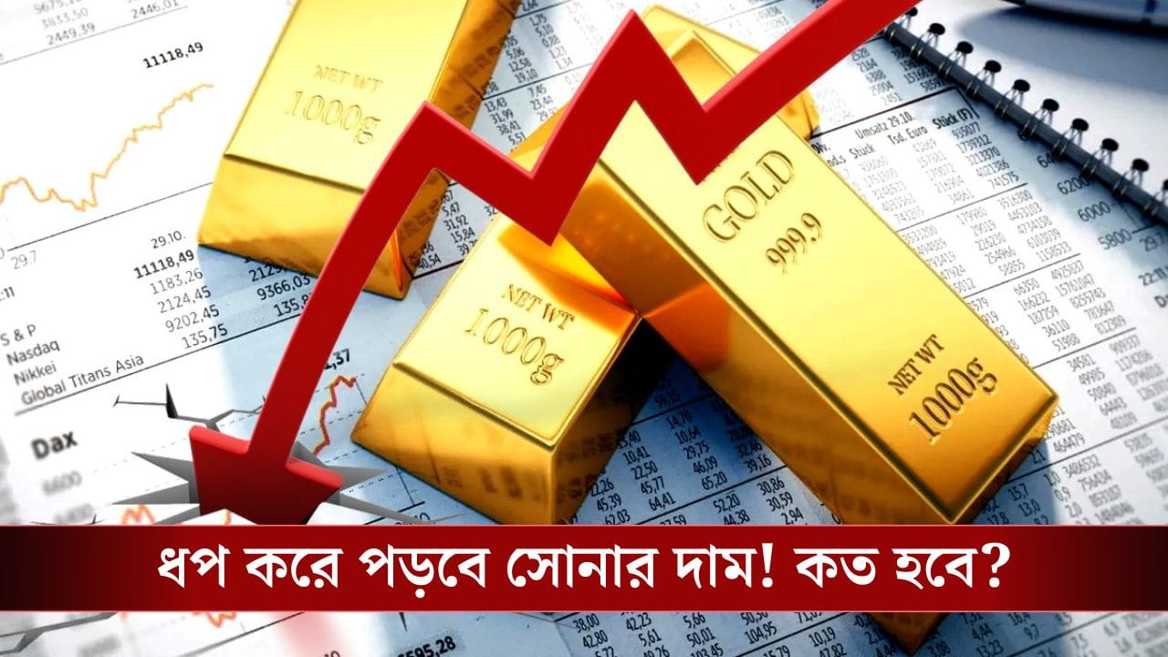 Gold Price Drop: এক ধাক্কায় ১ লক্ষের আশেপাশে নামতে পারে সোনার দাম, বিনিয়োগের ভাল সময় আসলে কোনটা? Gold Price Drop: এক ধাক্কায় ১ লক্ষের আশেপাশে নামতে পারে সোনার দাম, বিনিয়োগের ভাল সময় আসলে কোনটা?