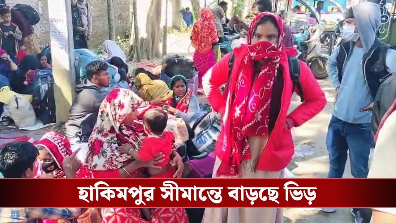 SIR in Bengal: কীভাবে সীমান্ত পেরিয়ে ভারতে ঢুকেছিলেন? সব বলে দিলেন বাংলাদেশিরা