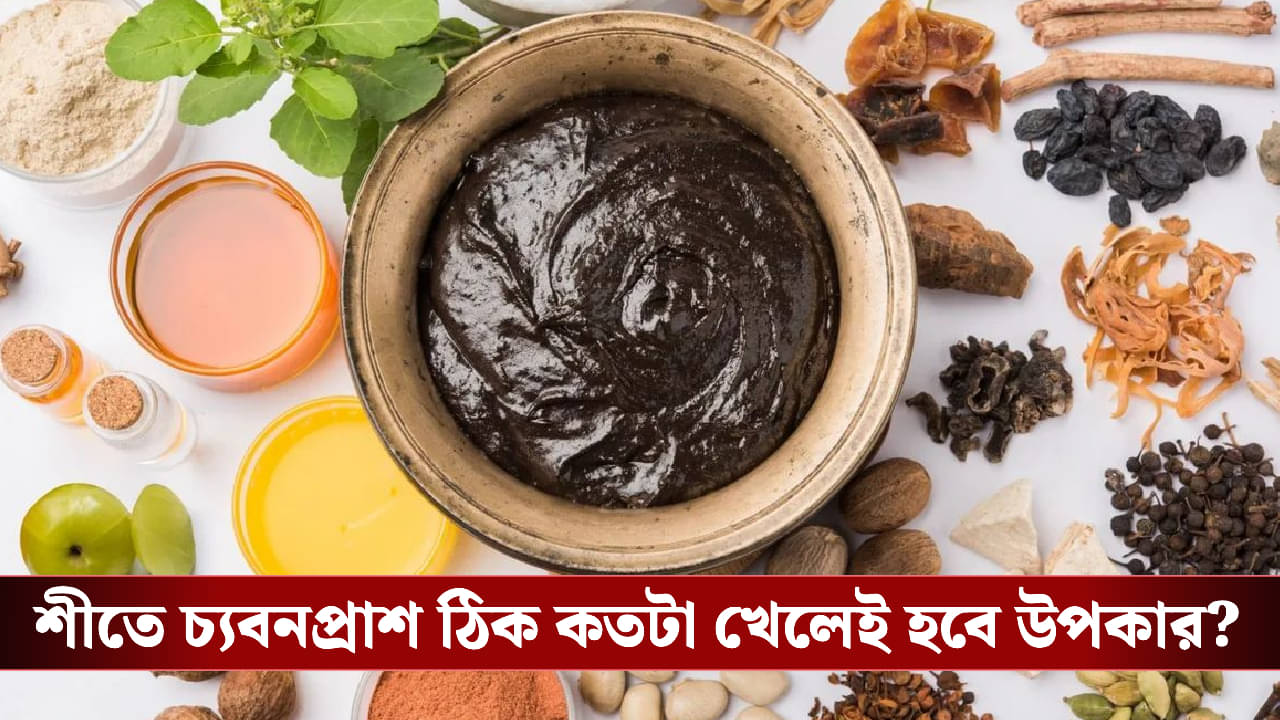 Chyawanprash: স্বাস্থ্যরক্ষায় চ্যবনপ্রাশ এক্কেবারে A+, শীতকালে কতটা খাবেন?