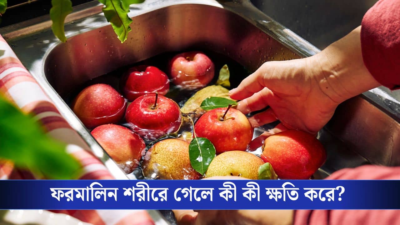 Fruits Clean Tips: আপেল-কমলালেবুতে ফরমালিনের প্রলেপ ঠাসা! এই সহজ কায়দায় দূর করুন
