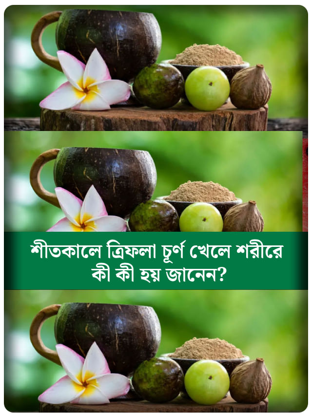 ত্রিফলা সেবনে মিলবে বিরাট ফল, শীতে সুস্থ থাকার এক আয়ুর্বেদিক রহস্য