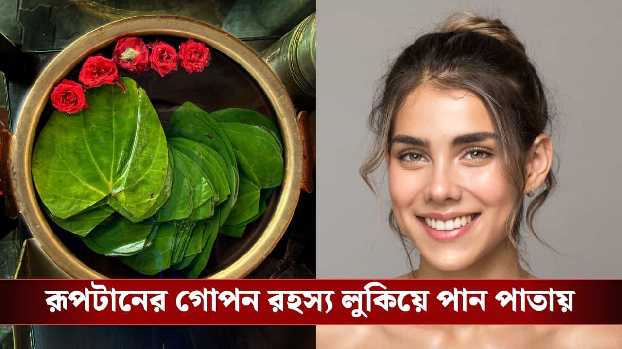 Skin Care: হাজার টাকা আর খরচ নয়, পান পাতার গুণে ত্বক হবে মসৃণ ও দাগমুক্ত Skin Care: হাজার টাকা আর খরচ নয়, পান পাতার গুণে ত্বক হবে মসৃণ ও দাগমুক্ত