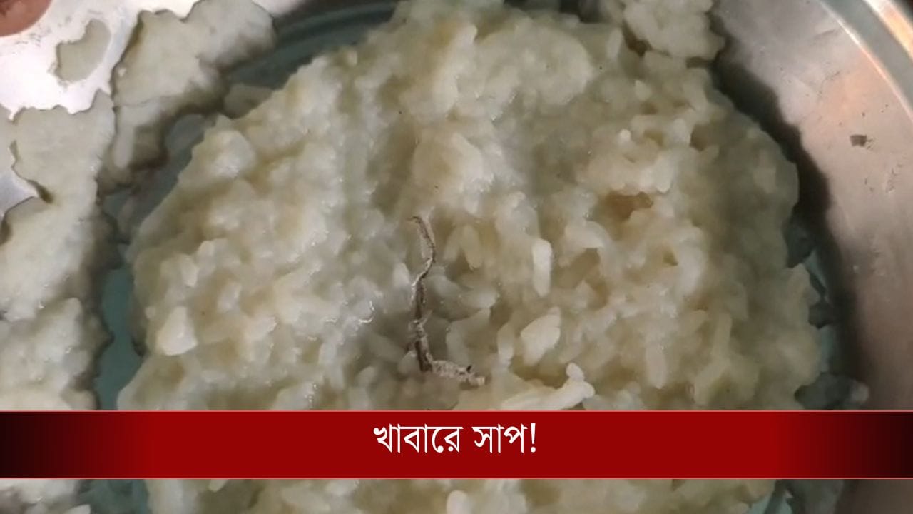ICDS: খাবারে সাপ! সব সীমা ছাড়াল ICDS সেন্টারের মিল…