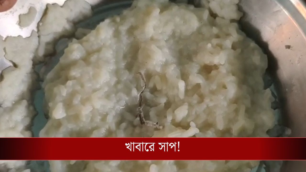 ICDS: খাবারে সাপ! সব সীমা ছাড়াল ICDS সেন্টারের মিল... ICDS: খাবারে সাপ! সব সীমা ছাড়াল ICDS সেন্টারের মিল...