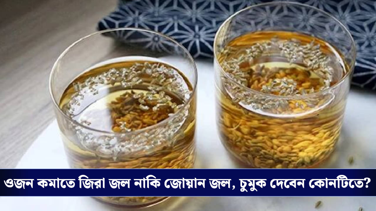 Cumin vs Ajwain Water: পেটের চর্বি গলাতে জিরে জল নাকি জোয়ান জল? বিশেষজ্ঞদের মতে সেরা পানীয় কোনটি