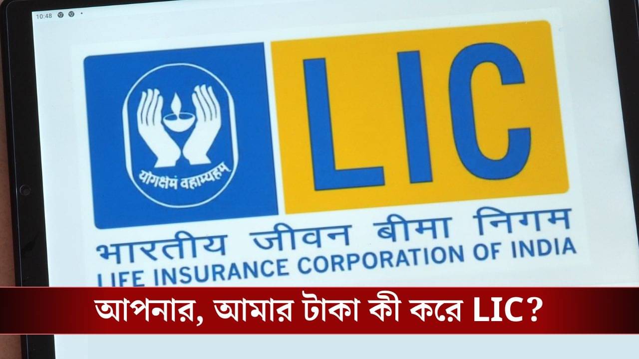 আপনার থেকে টাকা নিয়ে কী করে LIC, জানেন?