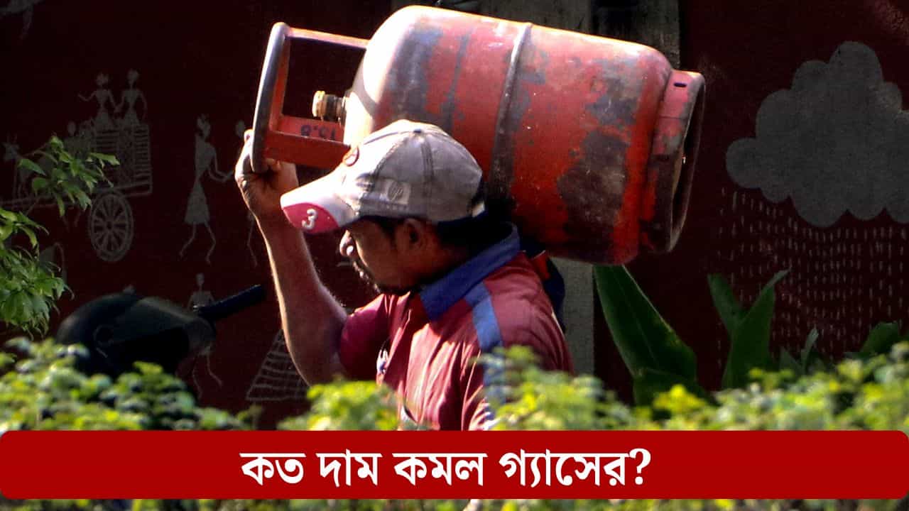 LPG Cylinder Price cut: নভেম্বর মাসের ১ তারিখেই কমে গেল LPG সিলিন্ডারের দাম, এবার কত খরচ পড়বে রান্নার গ্যাস কিনতে? LPG Cylinder Price cut: নভেম্বর মাসের ১ তারিখেই কমে গেল LPG সিলিন্ডারের দাম, এবার কত খরচ পড়বে রান্নার গ্যাস কিনতে?