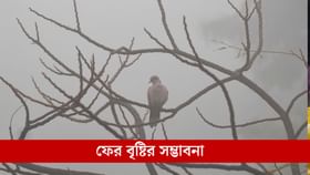 কেন হঠাৎ ২ ডিগ্রি কমল তাপমাত্রা? কোনদিকে ঘুরছে হাওয়া