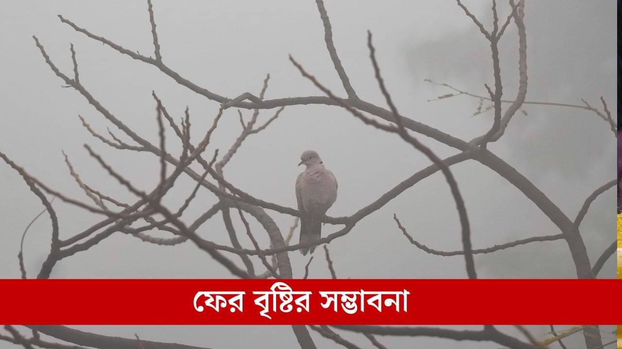 WB Weather Update: কেন হঠাৎ ২ ডিগ্রি কমল তাপমাত্রা? কোনদিকে ঘুরছে হাওয়া