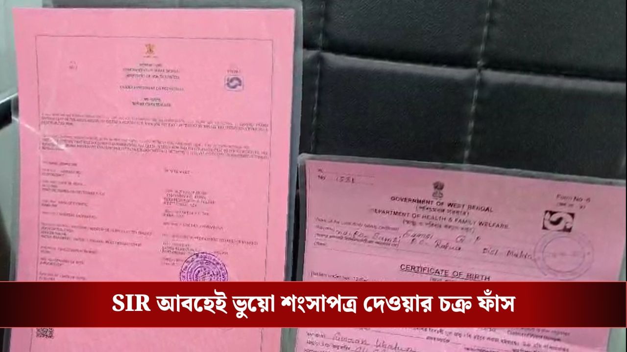 Malda: SIR আবহেই জাল জন্ম শংসাপত্র, ডেথ সার্টিফিকেট দেওয়ার চক্রের হদিশ, গ্রেফতার প্রধান ঘনিষ্ঠ TMC নেতা