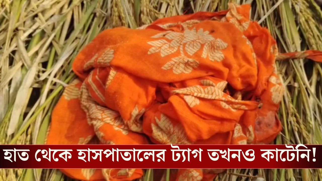 Malda news: ব্যাগে ভরে ছুড়ে ফেলা হয়েছে ধানক্ষেতে, কন্যা সন্তান হয়েছে দেখেই কি বাবা-মায়ের এমন সিদ্ধান্ত?