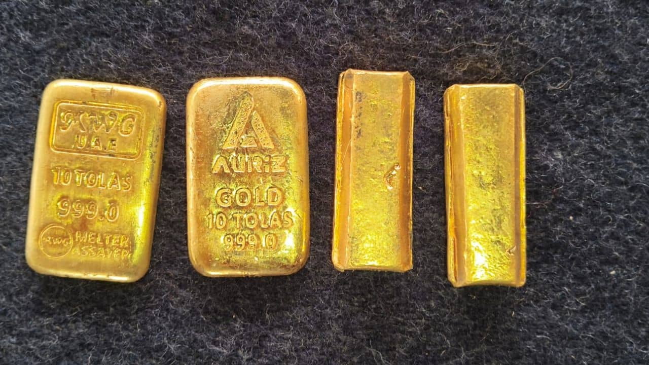 BSF: বাইকের মধ্যেই লুকিয়ে আনছিল সোনা, সবটা ধরে নিল BSF