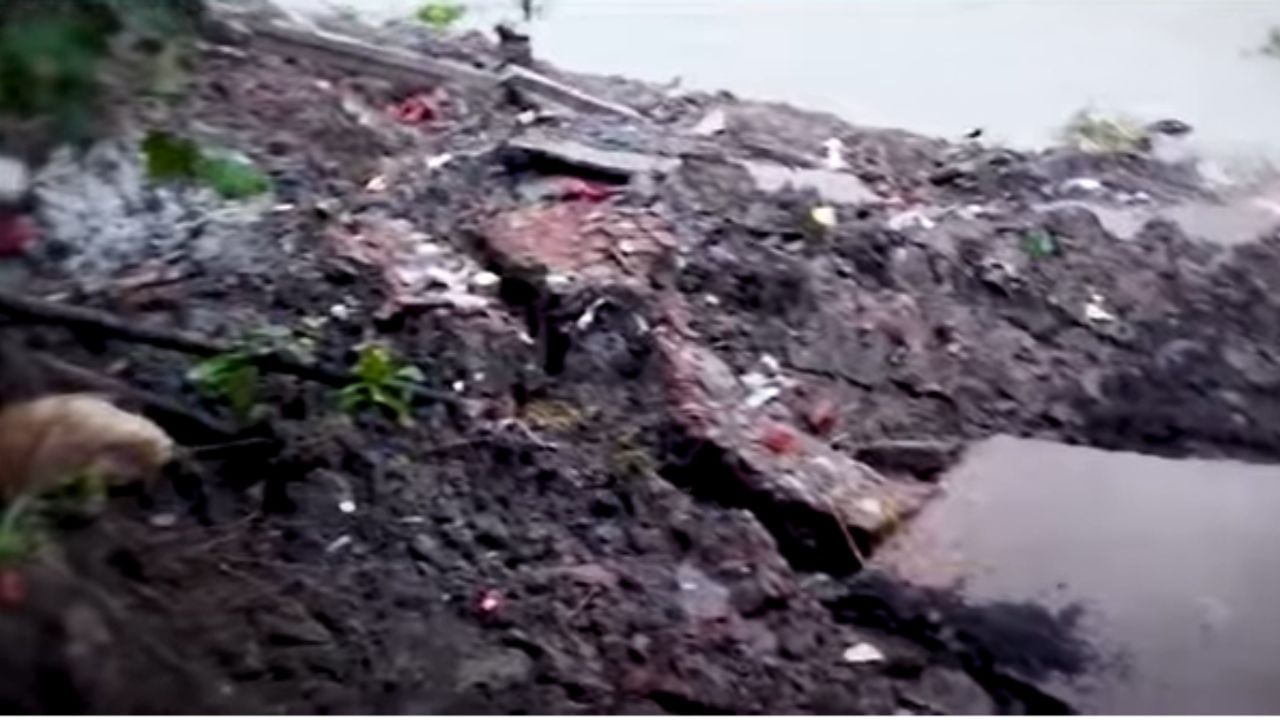 Ganga Erosion: বিঘের পর বিঘে জমি কীভাবে গঙ্গা খাচ্ছে ভিডিয়োয় দেখুন Ganga Erosion: বিঘের পর বিঘে জমি কীভাবে গঙ্গা খাচ্ছে ভিডিয়োয় দেখুন