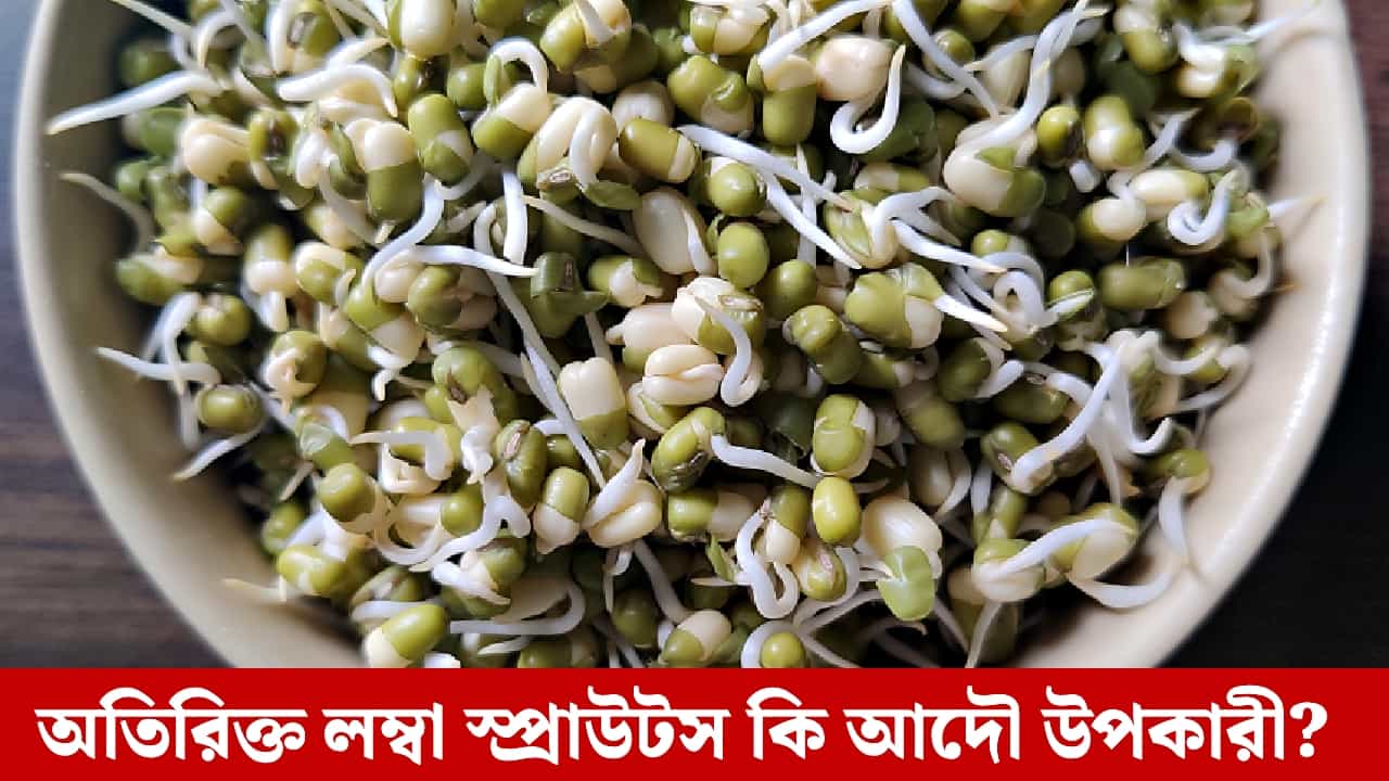 Sprouts: স্প্রাউটস যত লম্বা, উপকার তত বেশি? মিথ না সত্যি, আসল তথ্য জানাচ্ছেন বিশেষজ্ঞরা