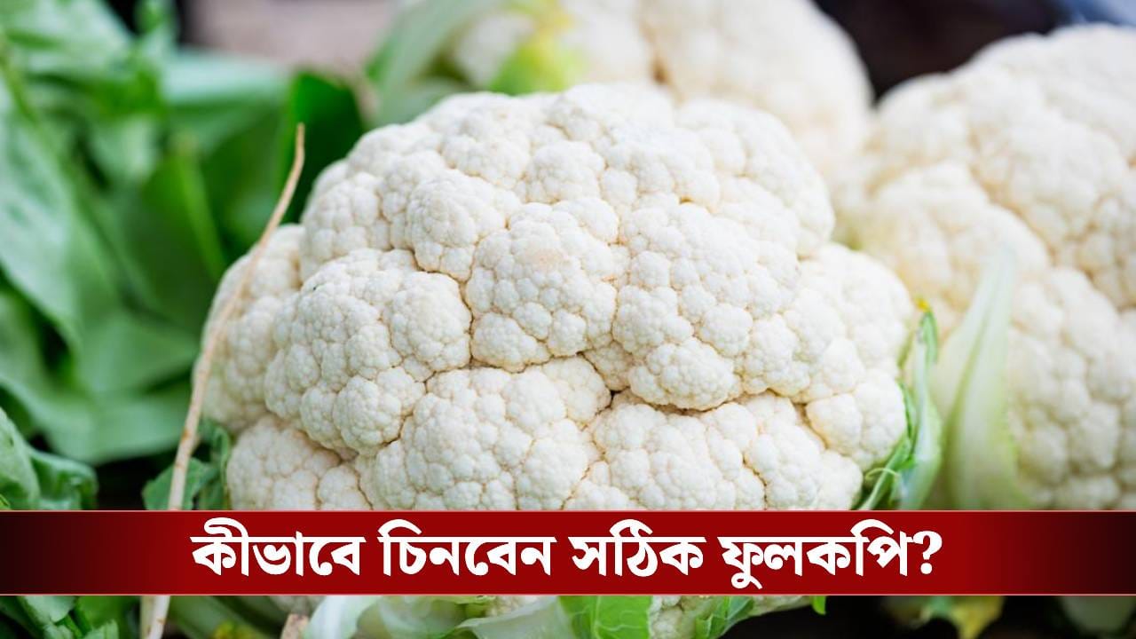 এগুলো খালি চোখে দেখা যায় না, ফুলকপির ভেতরে লুকিয়ে আছে অনেক পোকা! কোন পথে সাধনা?