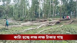 সিনেমাকেও হার মানাচ্ছে, ‘পুষ্পা’ মনে করিয়ে দিচ্ছে খানাকুলের এই ছবি