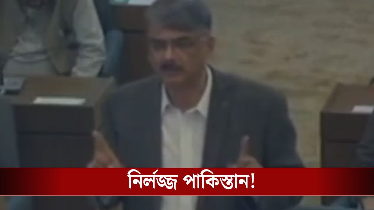 Delhi Blast Update: দিল্লির বিস্ফোরণ ঘটিয়েছে পাকিস্তানই! স্বীকার করে নিল PoK-র সদ্য প্রাক্তন ‘প্রধানমন্ত্রী’