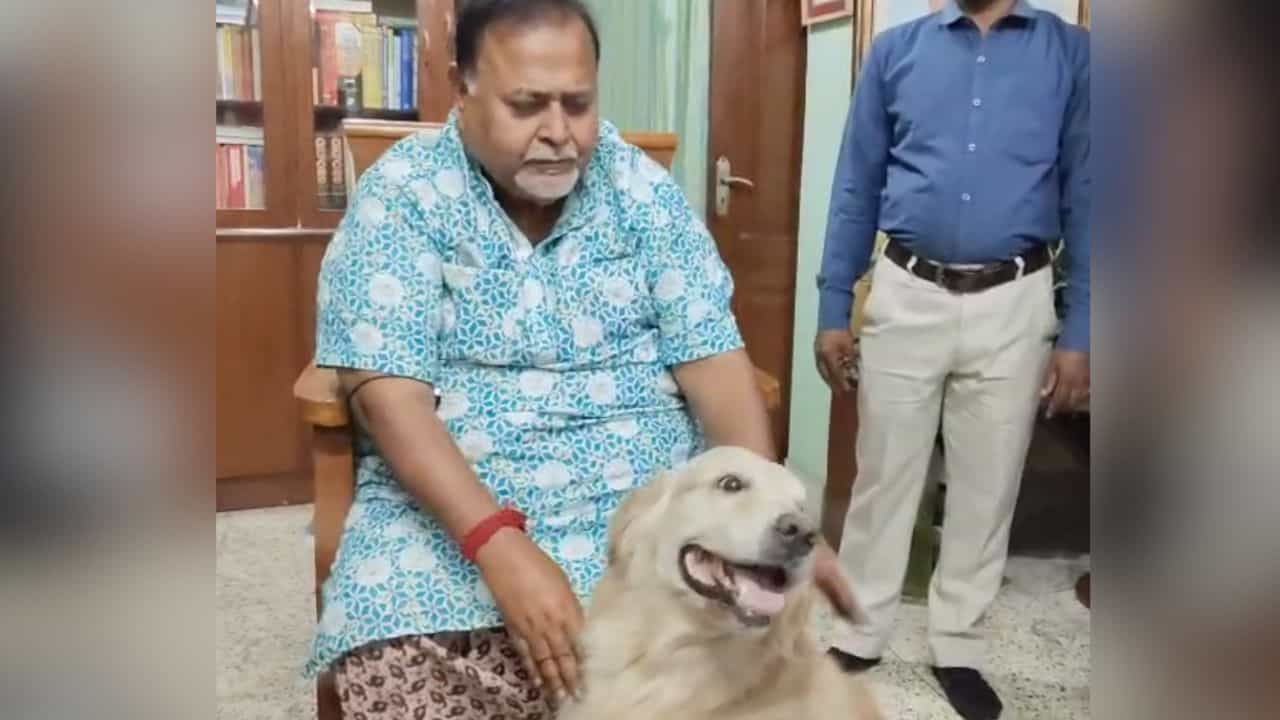 Partha Chatterjee: ৩ বছর পর ফিরে বাড়ির 'সদস্য'কে আদরে ভরিয়ে দিলেন পার্থ, মনিবকে কাছছাড়া করল না চকোও Partha Chatterjee: ৩ বছর পর ফিরে বাড়ির 'সদস্য'কে আদরে ভরিয়ে দিলেন পার্থ, মনিবকে কাছছাড়া করল না চকোও
