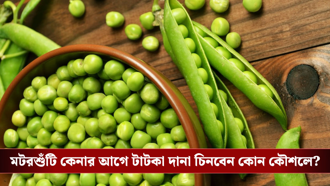 Pea: শীতের মরসুমে ভুল করে পচা বা বাসি মটরশুঁটি কিনে ঠকছেন না তো? কেনার সময় এই সহজ টিপসগুলি মনে রাখুন