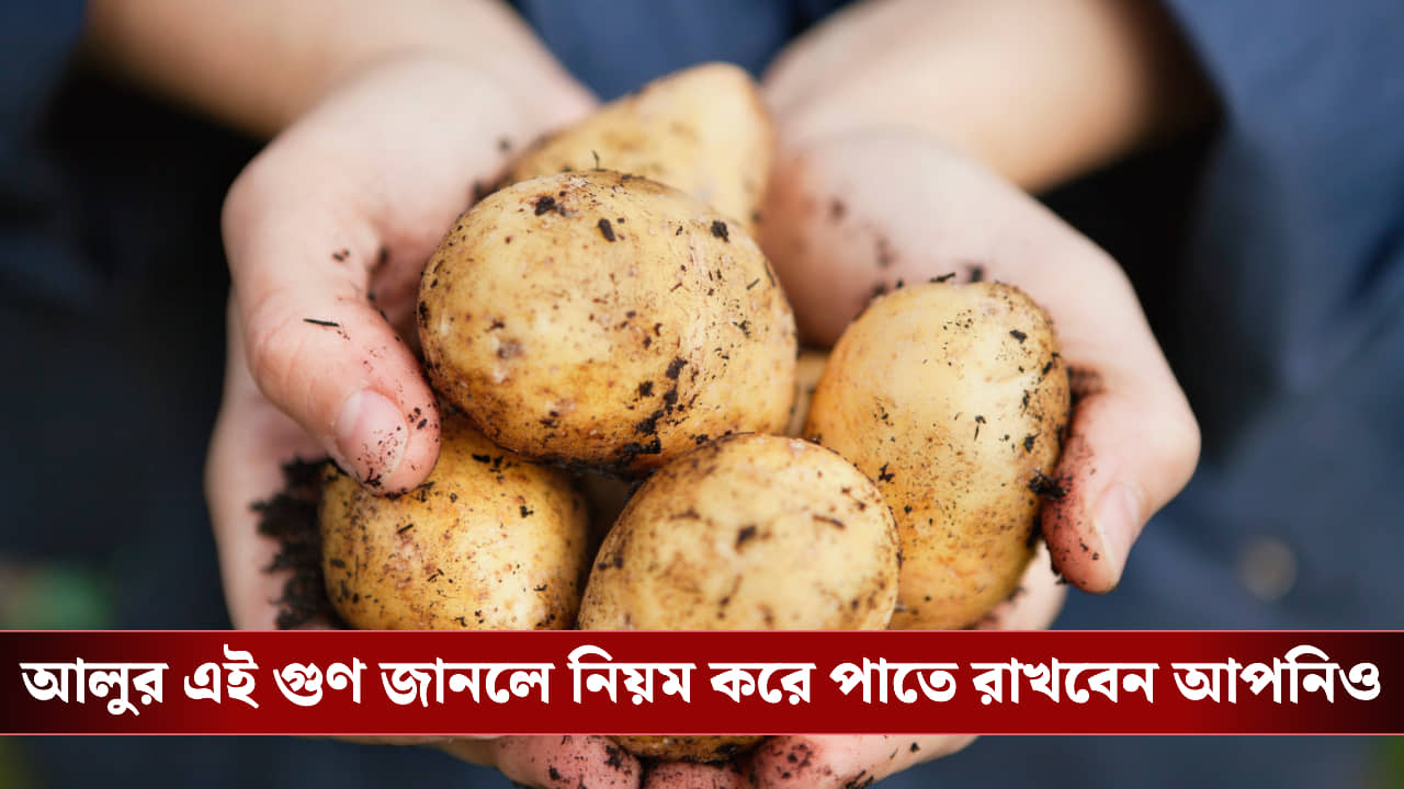 Potato: আলু মানেই কি শুধু কার্বোহাইড্রেট? ধারণা পাল্টান, এর রয়েছে আরও অনেক স্বাস্থ্যগুণ