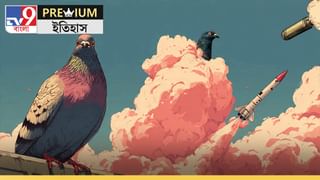 World War II, Project Pigeon: শান্তির প্রতীক পায়রা ওড়াত মিসাইল-বোমা, ভাবুন তো!