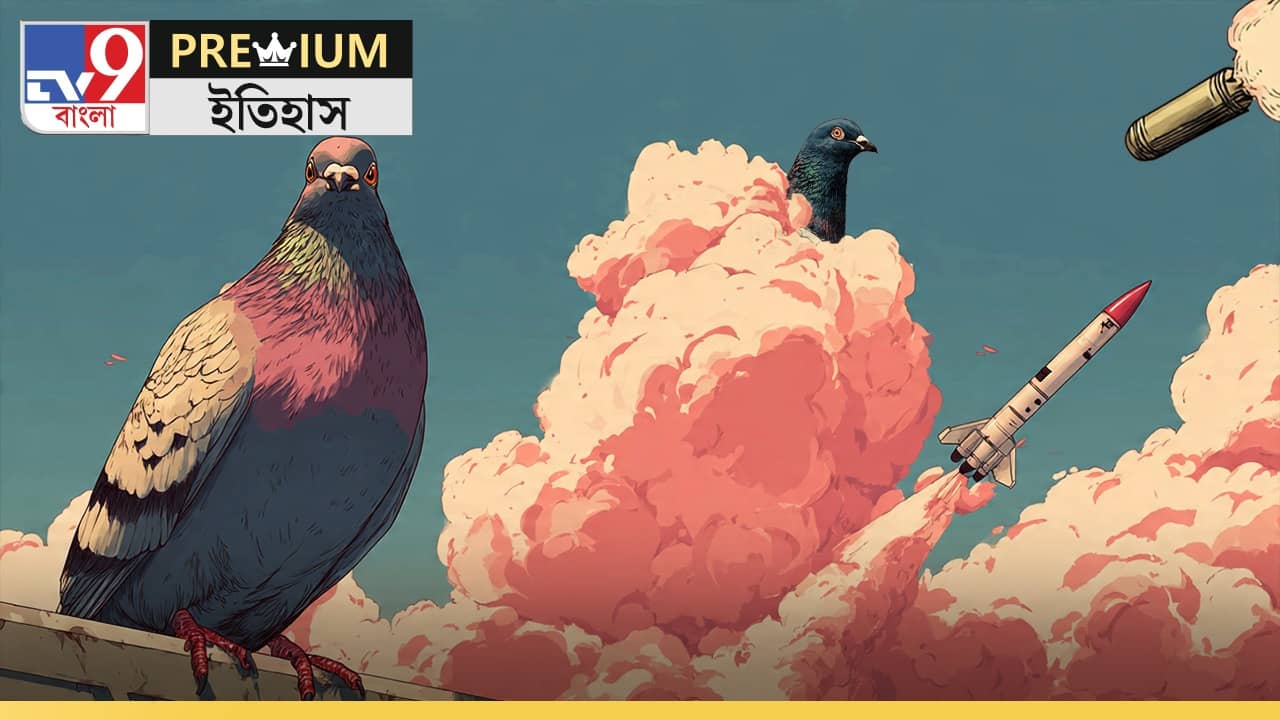 World War II, Project Pigeon: শান্তির প্রতীক পায়রা ওড়াত মিসাইল-বোমা, ভাবুন তো!