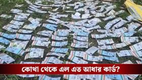SIR-র ফর্ম বিলি শুরুর পরদিন কয়েকশো আধার কার্ড উদ্ধার, কারণ ঘিরে জল্পনা