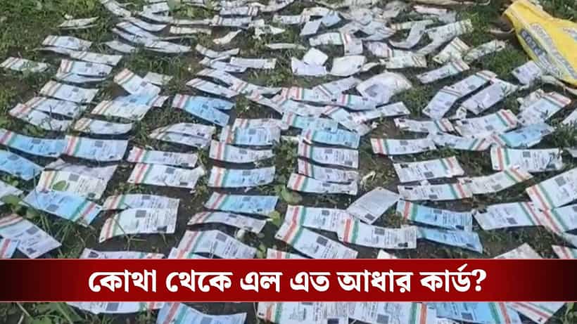 Aadhaar Card: SIR-র ফর্ম বিলি শুরুর পরদিন কয়েকশো আধার কার্ড উদ্ধার, কারণ ঘিরে জল্পনা