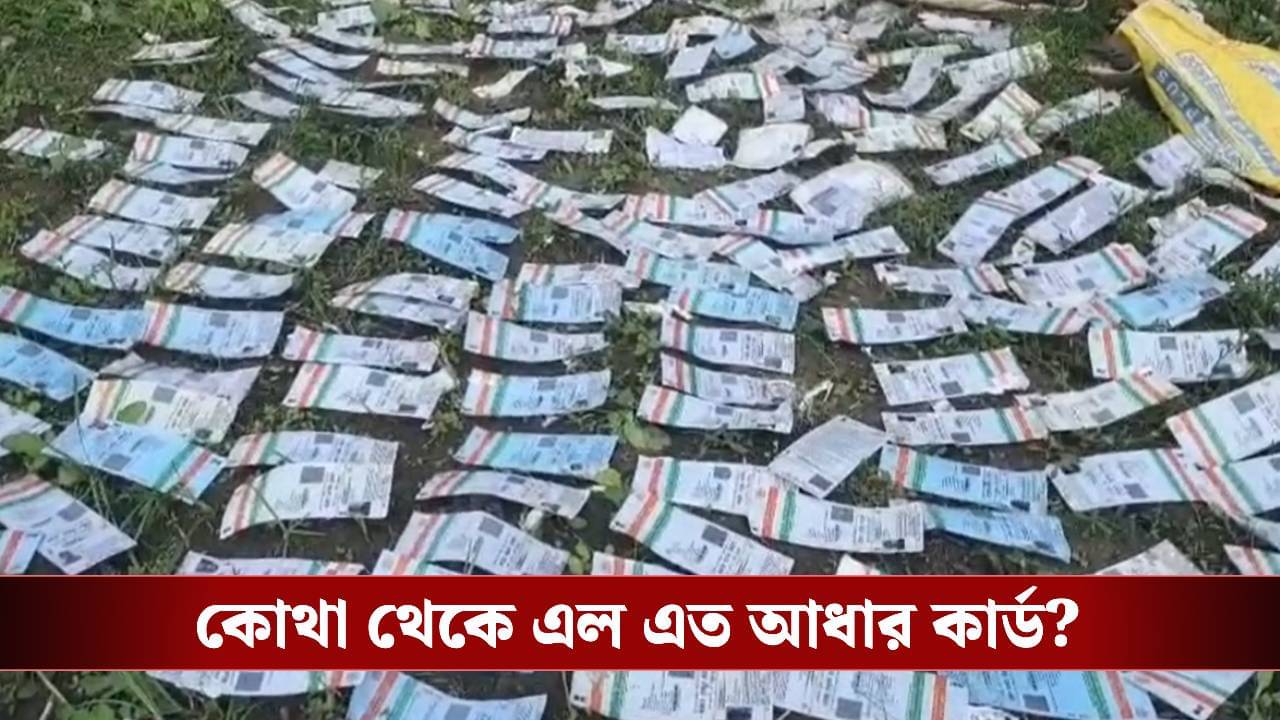 Aadhaar Card: SIR-র ফর্ম বিলি শুরুর পরদিন কয়েকশো আধার কার্ড উদ্ধার, কারণ ঘিরে জল্পনা