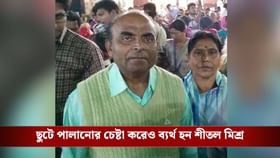 ঝাঁকে ঝাঁকে উড়ে এল মৌমাছি, হাঁটতে বেরিয়ে বাড়ি ফেরা হল না বৃদ্ধের