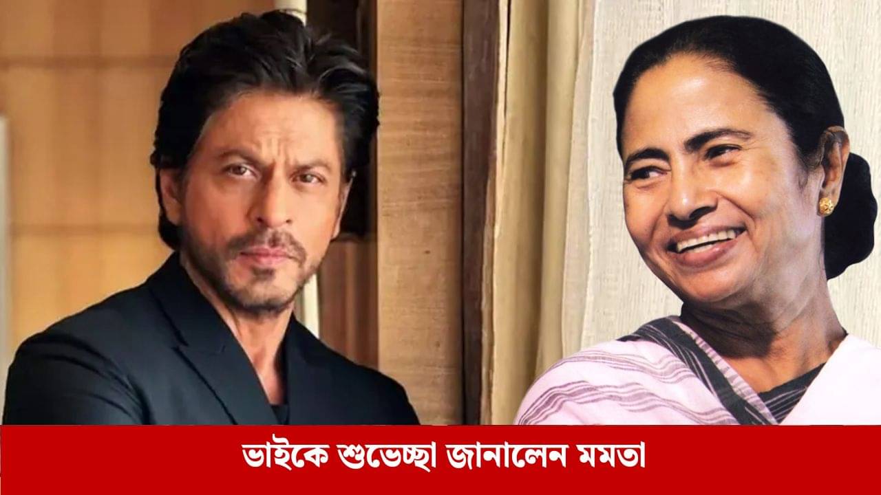 তোমার অবদানে..., শাহরুখের জন্মদিনে কী লিখলেন মমতা?