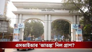 SIR Tension in Bengal: SIR ‘আতঙ্কে’ আত্মহত্যার চেষ্টা, প্রাণ গেল ধনেখালির মহিলার