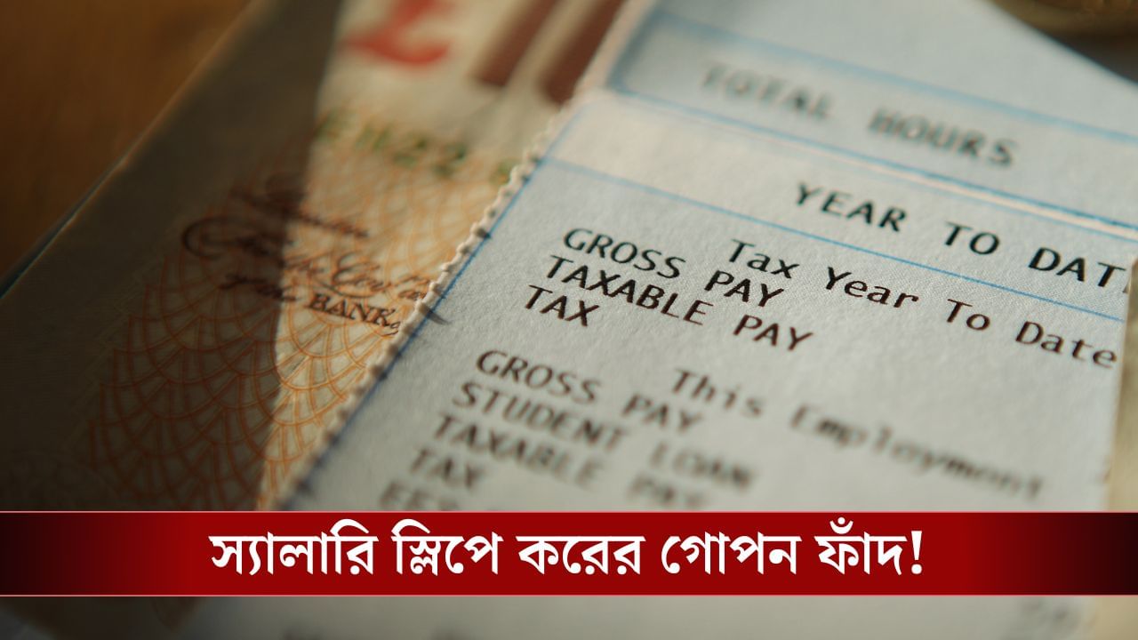Tax Trap: খুঁটিয়ে দেখুন Salary Slip, লুকিয়ে রয়েছে একাধিক করের গোপন ফাঁদ! Tax Trap: খুঁটিয়ে দেখুন Salary Slip, লুকিয়ে রয়েছে একাধিক করের গোপন ফাঁদ!