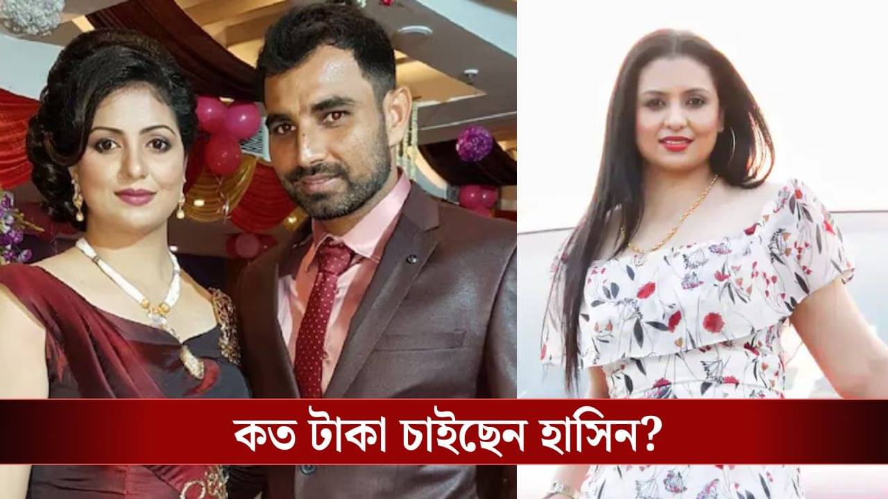 মাসে ৪ লক্ষ টাকা অনেক কম! আরও খোরপোশ চেয়ে সুপ্রিম কোর্টের দ্বারস্থ সামির প্রাক্তন স্ত্রী