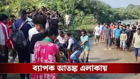 নদীর ধারে পড়ে আছে স্ত্রীর গলাকাটা দেহ, গাছে ঝুলছে স্বামী!