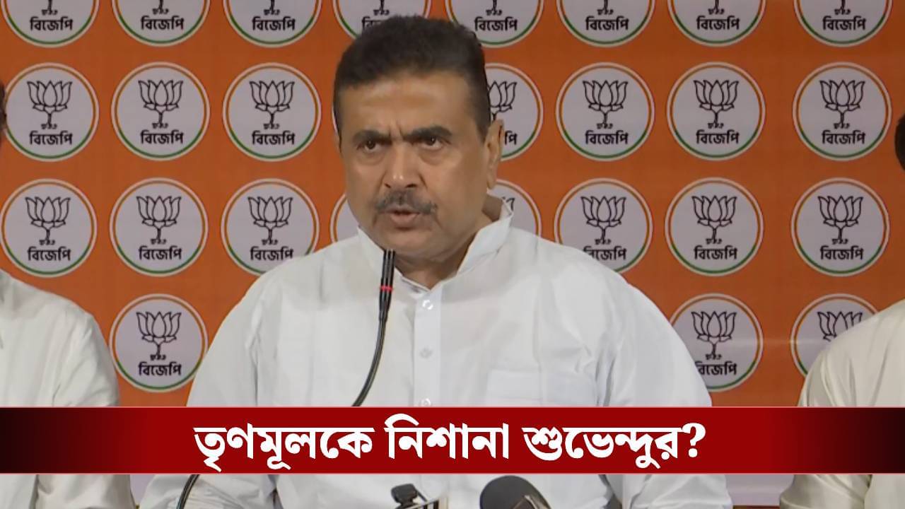 SIR নিয়ে তৃণমূলের মাথাব্যথার কারণ কী? পাওয়ার পয়েন্ট প্রেজেন্টেশন দিয়ে বোঝালেন শুভেন্দু