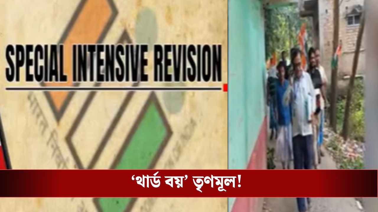 SIR: BLA নিয়োগে 'থার্ড' TMC, একদম প্রথমেই নাম বিজেপির: সূত্র কমিশন SIR: BLA নিয়োগে 'থার্ড' TMC, একদম প্রথমেই নাম বিজেপির: সূত্র কমিশন