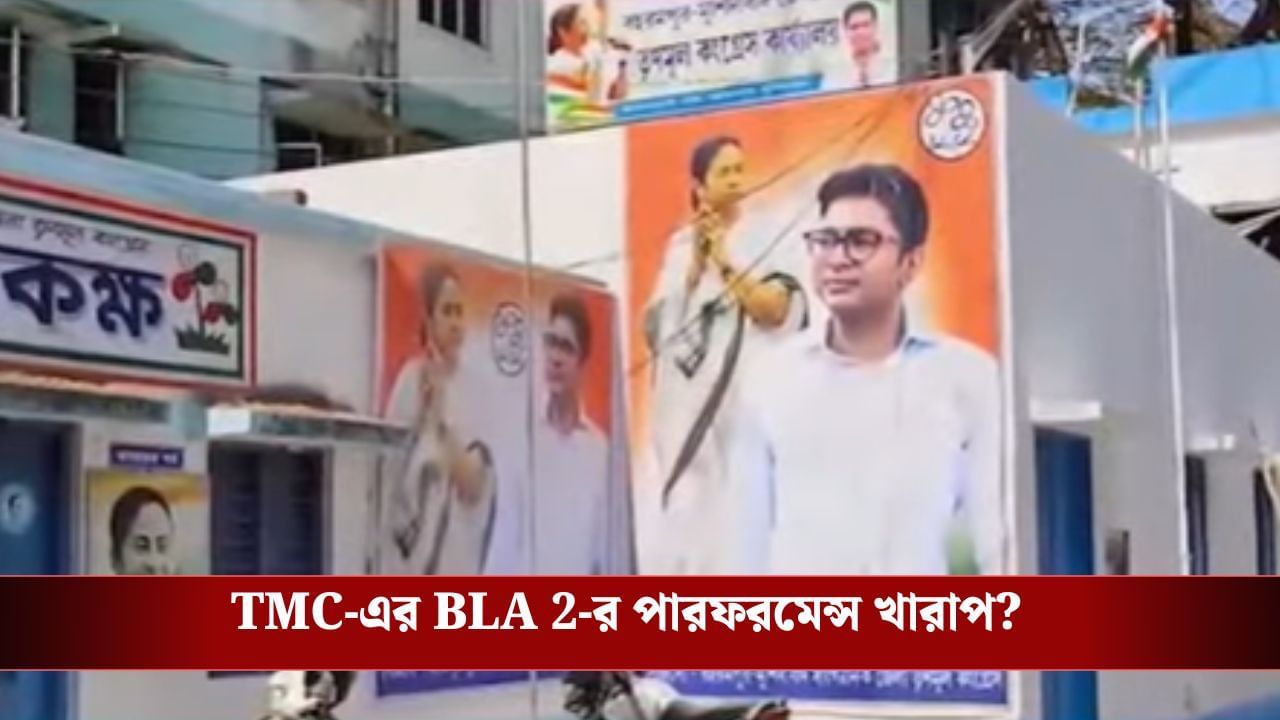 SIR: তৃণমূলের বিএলএ ২-র পারফরমেন্সে খামতি! রিপোর্ট সামনে আসতেই বিতর্ক