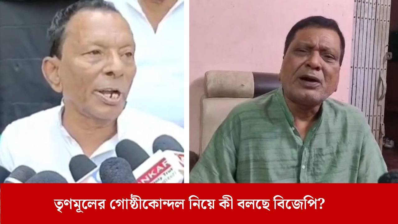TMC: আর একবার ঢুকুক, সাইজ করে দেব, অখিল গিরিকে হুমকি শাসকদলের নেতারই