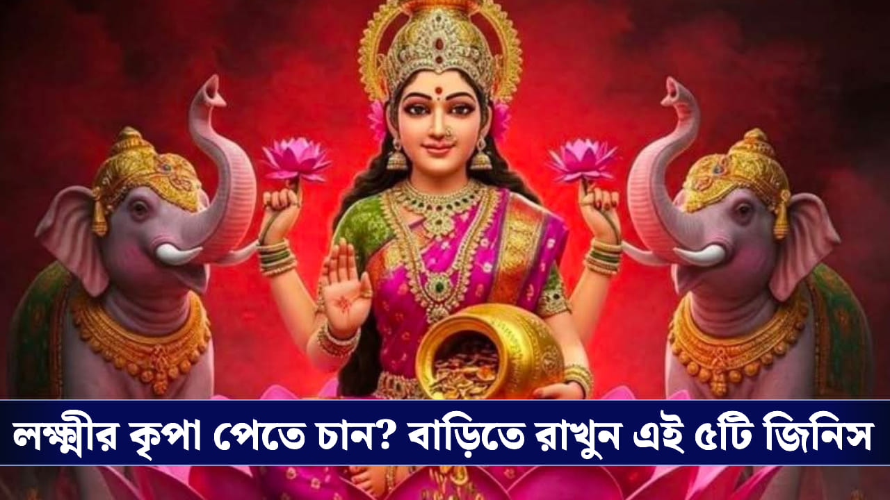 Vastu Tips: বছরভর টাকা থাকবে হাতে, সৌভাগ্য ফেরাতে ঘরে রাখুন বাস্তু মতে এই ৫ জিনিস