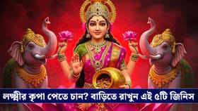 বছরভর টাকা থাকবে হাতে, সৌভাগ্য ফেরাতে ঘরে রাখুন বাস্তু মতে এই ৫ জিনিস