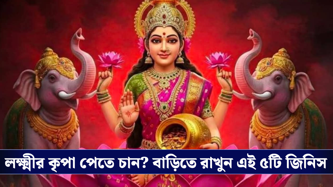 Vastu Tips: বছরভর টাকা থাকবে হাতে, সৌভাগ্য ফেরাতে ঘরে রাখুন বাস্তু মতে এই ৫ জিনিস