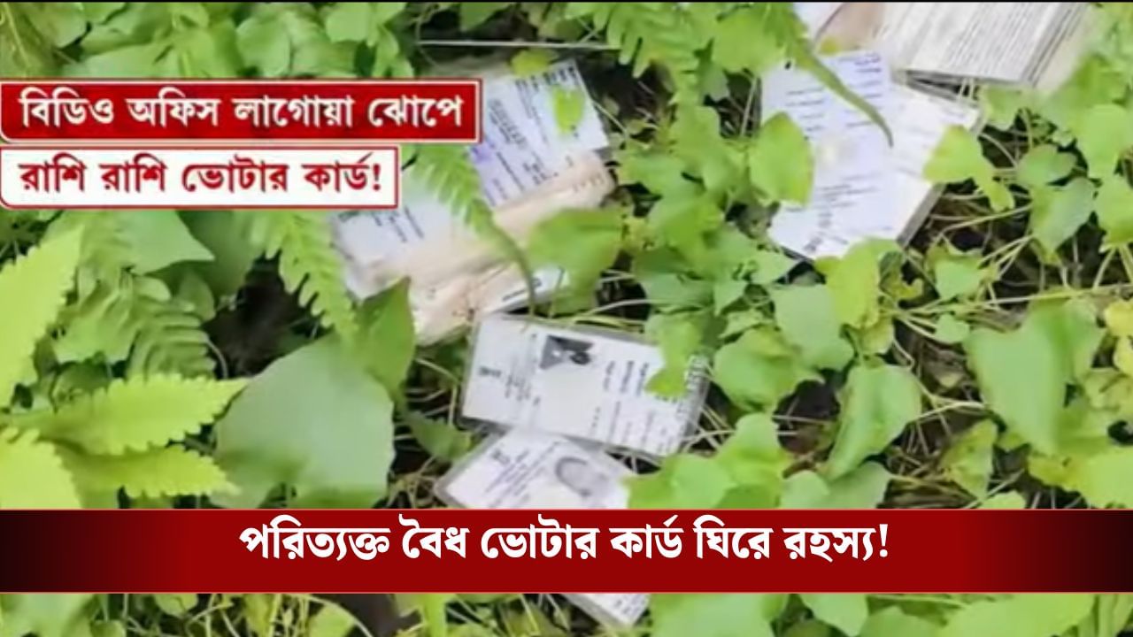 Rajganj: জলপাইগুড়ি রাজগঞ্জে বিডিও অফিস চত্বরের ঝোপেই শয়ে শয়ে বৈধ ভোটার কার্ড?