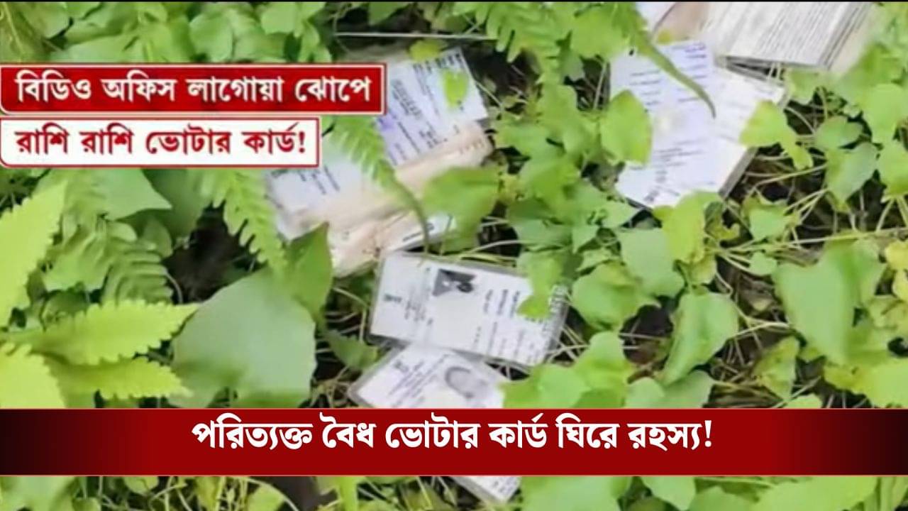 Rajganj: জলপাইগুড়ি রাজগঞ্জে বিডিও অফিস চত্বরের ঝোপেই শয়ে শয়ে বৈধ ভোটার কার্ড?