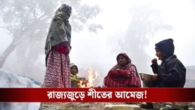 হুড়মুড়িয়ে নেমে গেল তাপমাত্রা, লেপ-কম্বল কি বেরবে এবার?