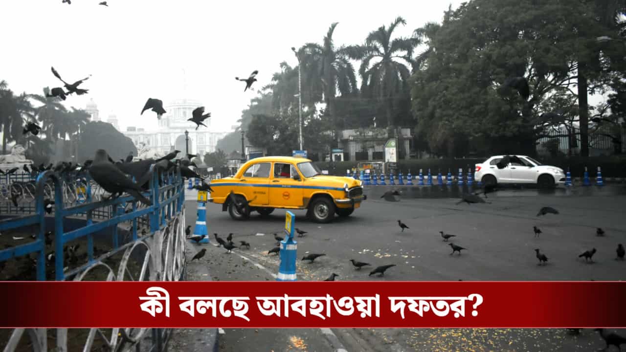 Weather Latest Update: এবার শীত নয়, এক অন্য পূর্বাভাস দিল আলিপুর হাওয়া অফিস Weather Latest Update: এবার শীত নয়, এক অন্য পূর্বাভাস দিল আলিপুর হাওয়া অফিস