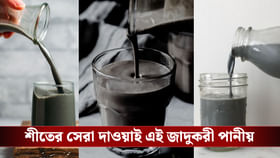 শীতের রাতে চুমুক দিন ম্যাজিক ড্রিঙ্কসে, শরীরে বদল দেখলে চমকে যাবেন!
