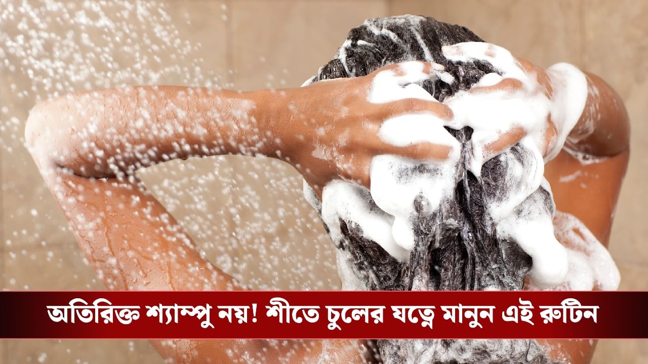 Shampoo use in Winter: শীতকালে কত দিন পর শ্যাম্পু করা জরুরি? জেনে নিন সঠিক নিয়ম Shampoo use in Winter: শীতকালে কত দিন পর শ্যাম্পু করা জরুরি? জেনে নিন সঠিক নিয়ম