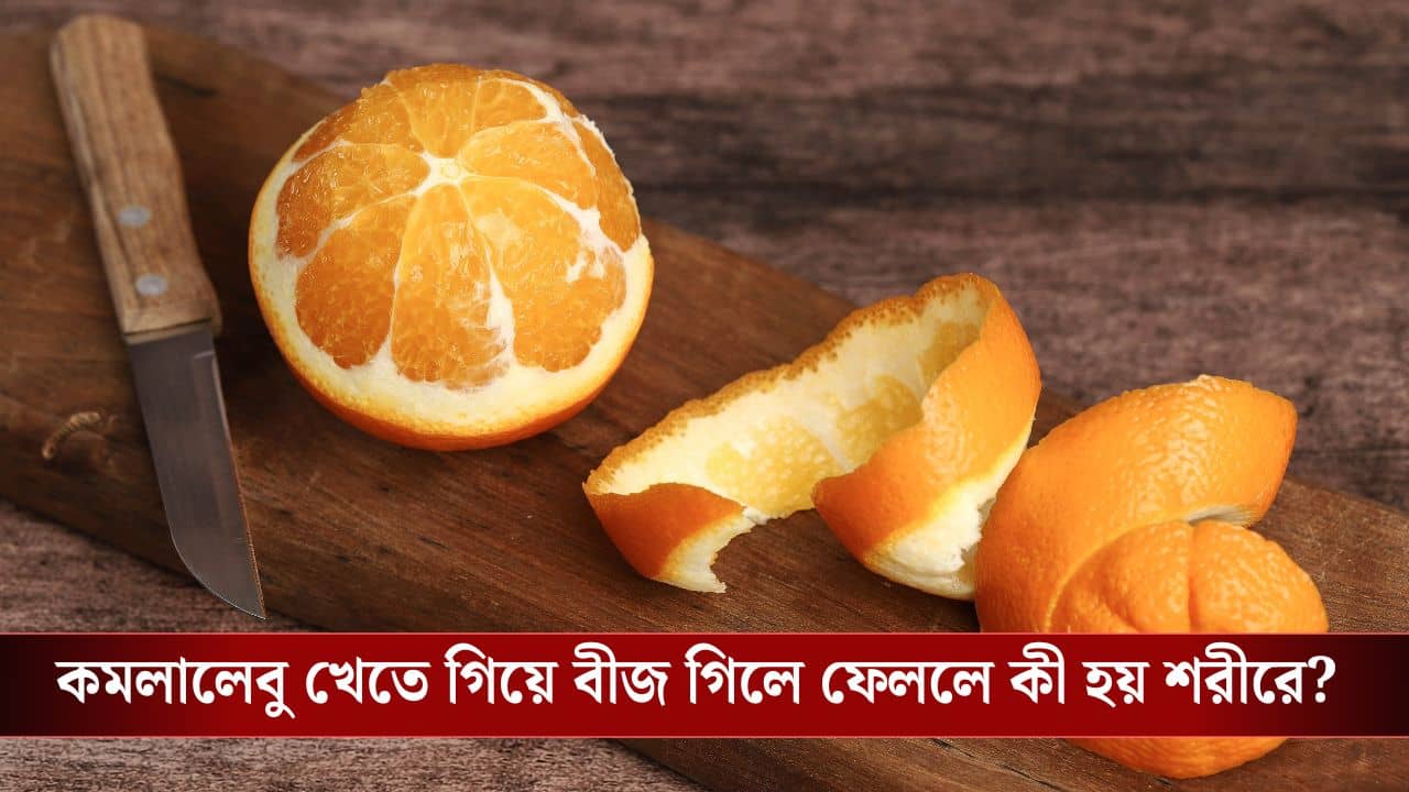 Orange Seeds: কমলালেবুর বীজ পেটে চলে গেলেই বিপদ! গুজব না সত্যি?