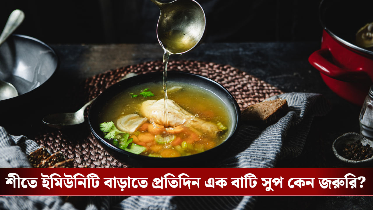 Soup in Winter: উষ্ণতায় ভরপুর ইমিউনিটি বুস্টার সুপ, শীতকালের সেরা স্বাস্থ্যসঙ্গী Soup in Winter: উষ্ণতায় ভরপুর ইমিউনিটি বুস্টার সুপ, শীতকালের সেরা স্বাস্থ্যসঙ্গী